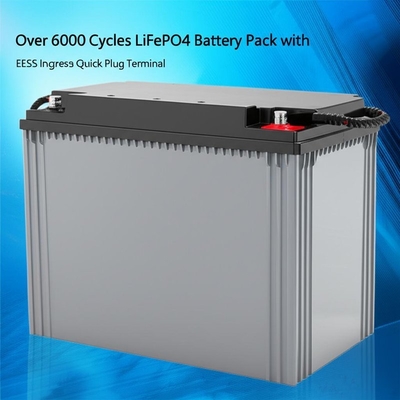 6000 회전 이상 LiFePO4 배터리 팩 IP65 침입 보호 및 EES-6mm 빠른 플러그 터미널