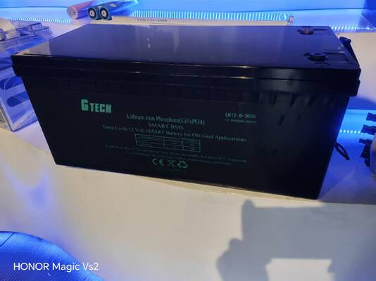 12.8V LiFePO4 배터리