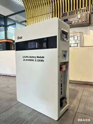똑똑한 BMS 5KWH, 10KWH, 15KWH를 가진 51.2V 100Ah 집 힘 에너지 저장 리튬 전지 체계